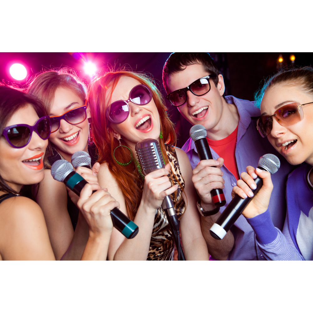 Pack Karaoké complet – Système karaoké avec entrée PC et 2 micros