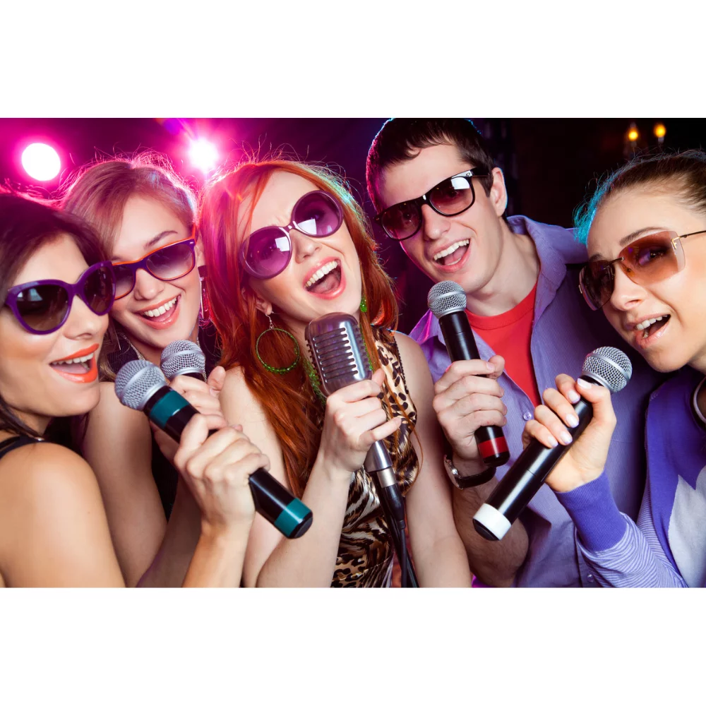 Pack Karaoké complet – Système karaoké avec entrée PC et 2 micros